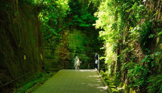 [東京湾の無人島]レンガの赤と自然の緑が調和する島、猿島