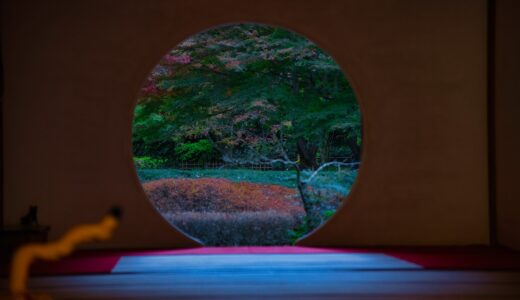 [鎌倉の紅葉]いざ、彩る鎌倉へ！(明月院～円覚寺編)/ Let`s go  colorful Kamakura!